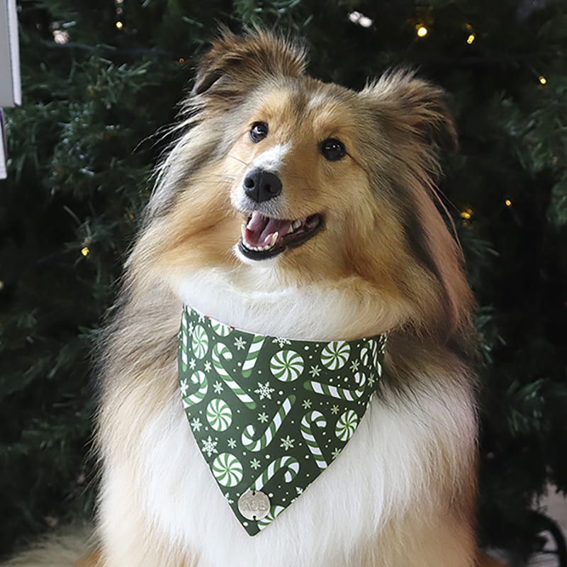 alana-y-bandana-bandana-navidena-santa