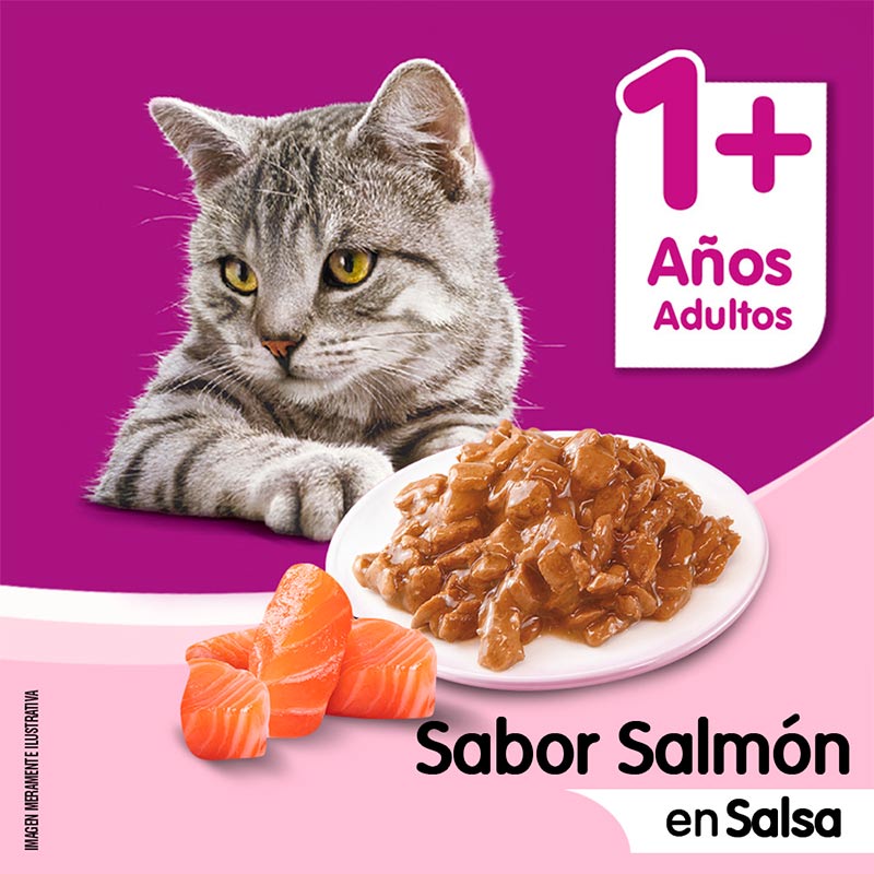 whiskas-alimento-humedo-sobrecito-gato-salmon-salsa