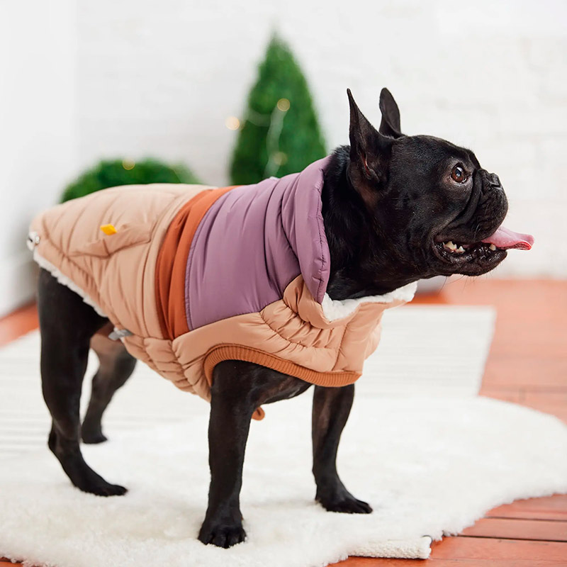 gf-pet-chaqueta-retro-puffer-arena