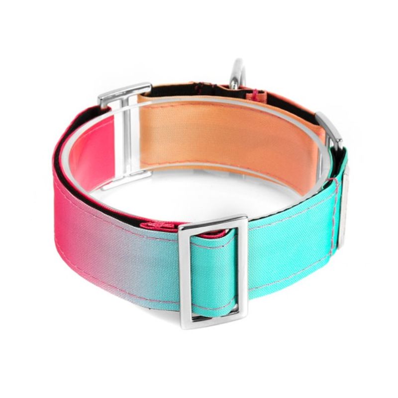 bellcher-collar-martingale-gradient-durazno-4-cm