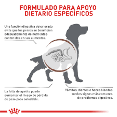 royal-canin-gastrointestinal-veterinary