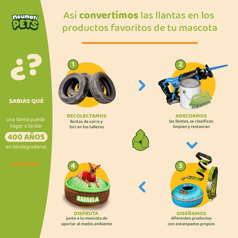 neumatipets-collar-ecologico-diseno-nachos-con-aguacates