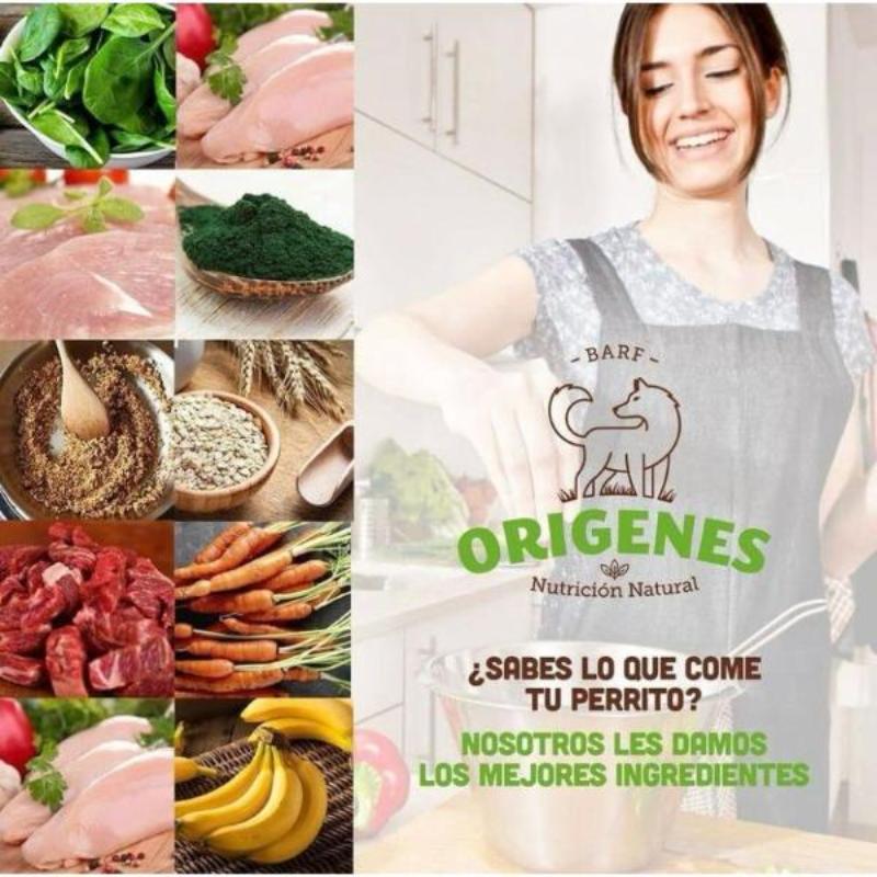 origenes-menu-llano-res