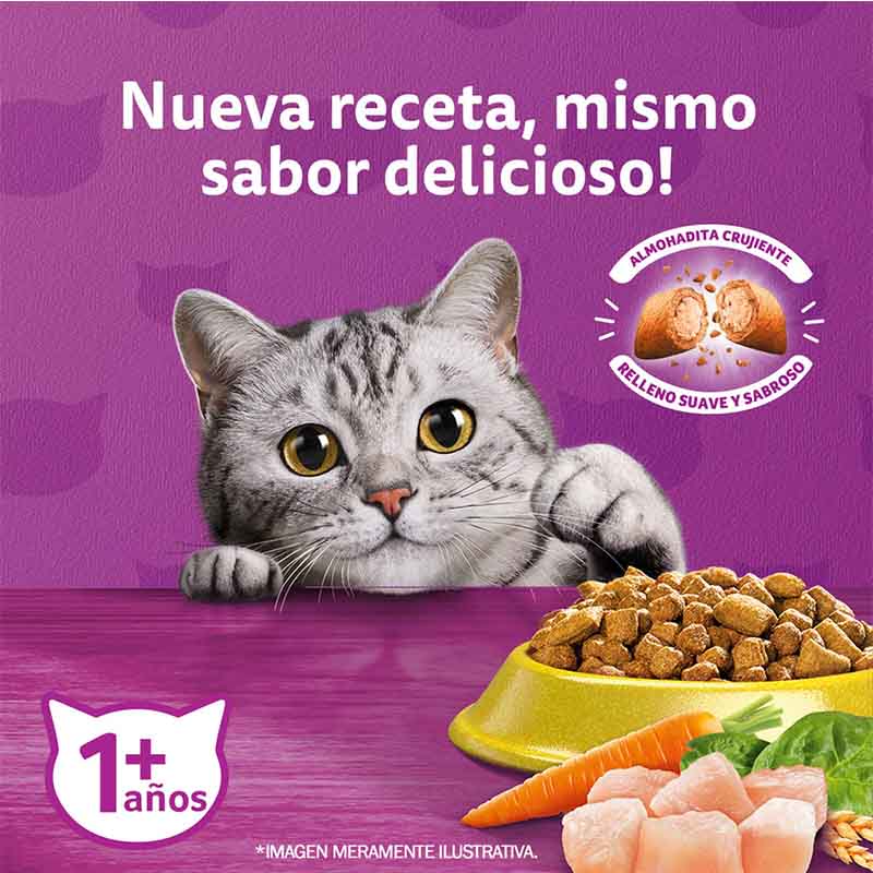 whiskas-alimento-seco-para-gato-adulto-sabor-pollo