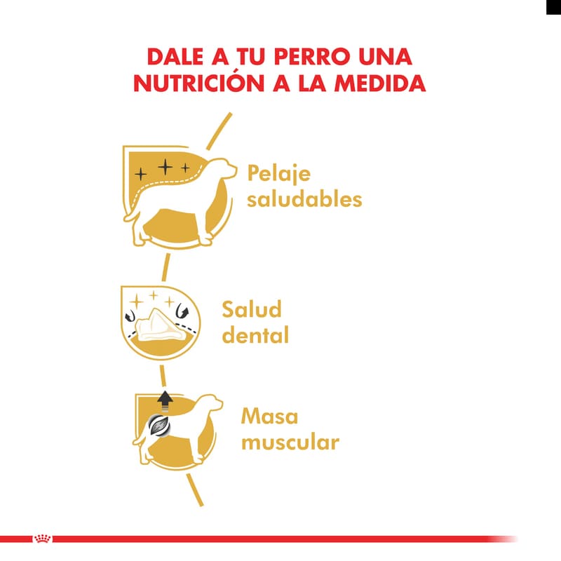 royal-canin-alimento-poodle-canishe