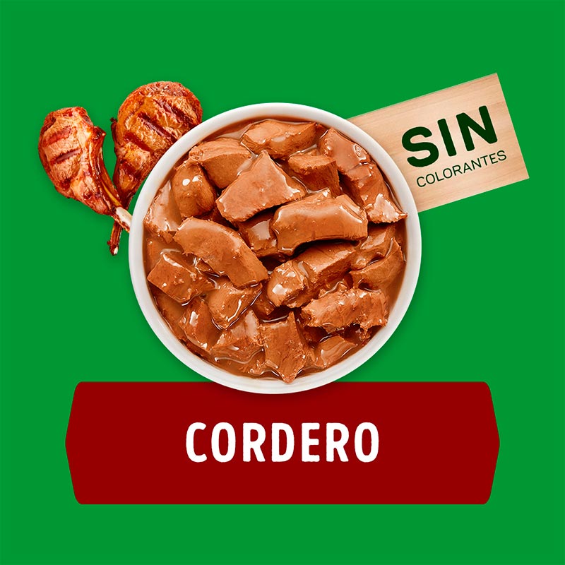 dog-chow-adultos-todos-los-tamanos-cordero