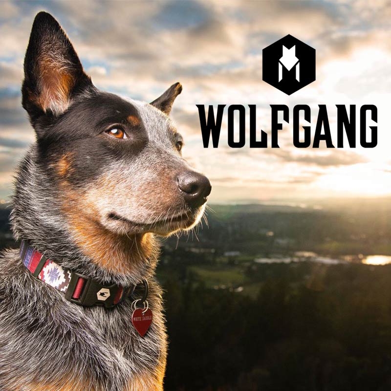 wolfgang-collar-para-perro-martingale-hexcamo-field