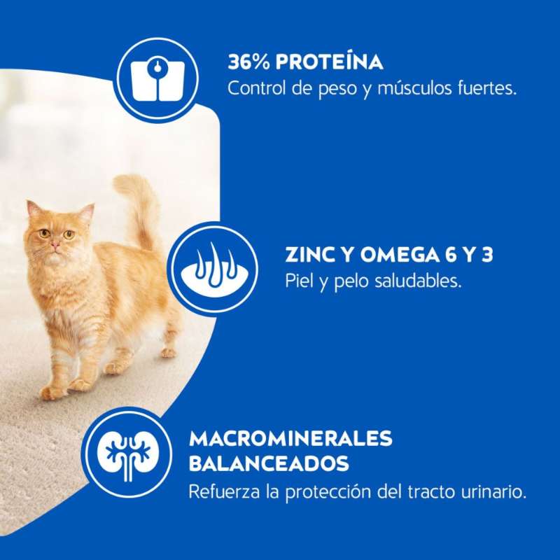 cat-chow-esterilizados-prebioticos