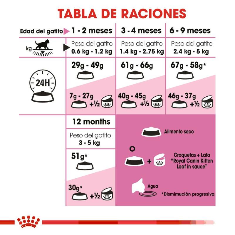 royal-canin-alimento-seco-para-minino-kitten