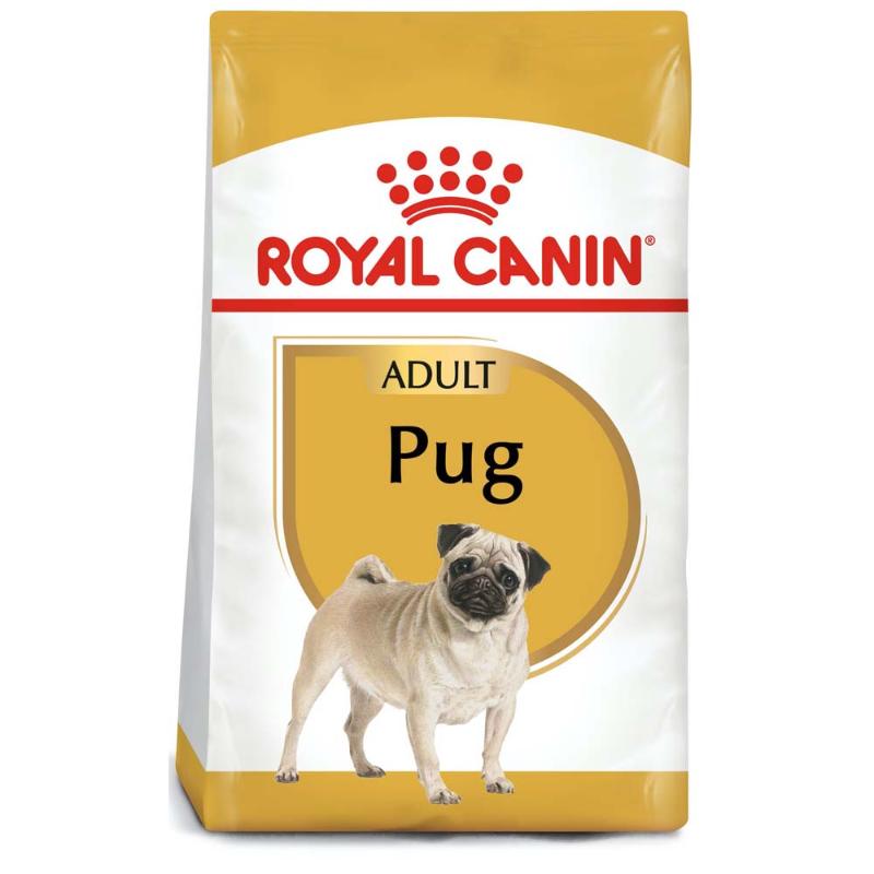 royal-canin-pug-adulto