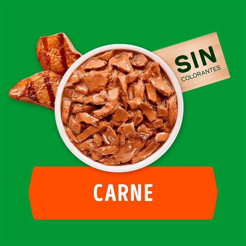 dog-chow-adultos-minis-y-pequenos-carne