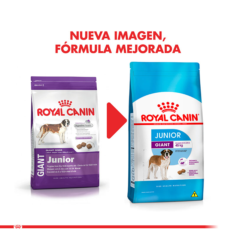 royal-canin-giant-junior