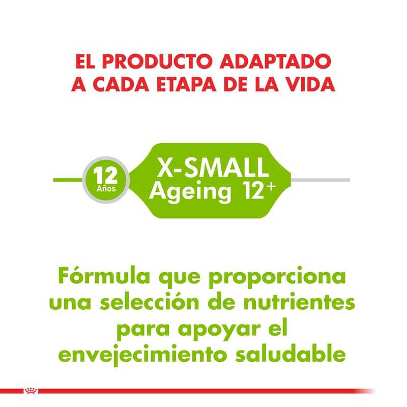 royal-canin-alimento-seco-perro-x-small-ageing-12