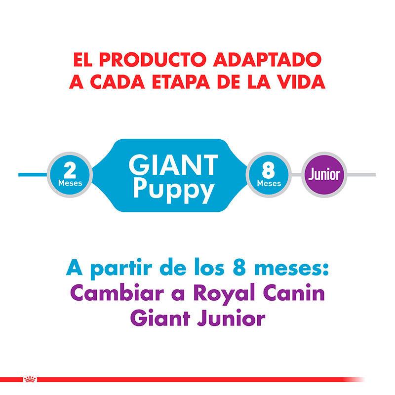 royal-canin-giant-puppy