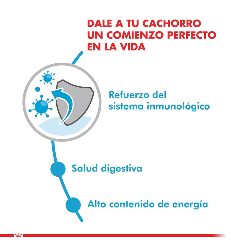 royal-canin-alimento-humedo-perro-cachorro-pouch-mini-puppy