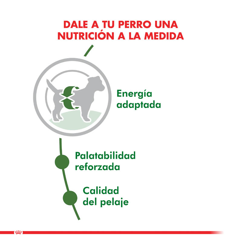 royal-canin-mini-adulto