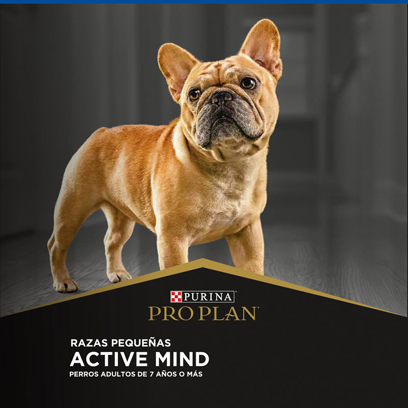 pro-plan-active-mind-optiage-raza-pequena