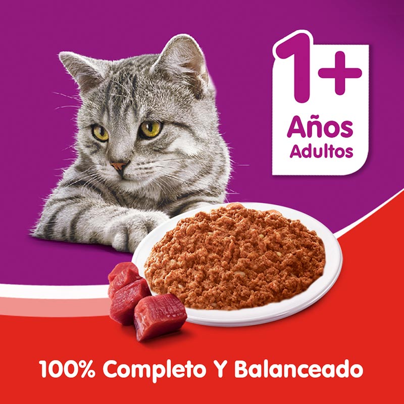 whiskas-alimento-humedo-en-lata-gatos-adultos-sabor-carne