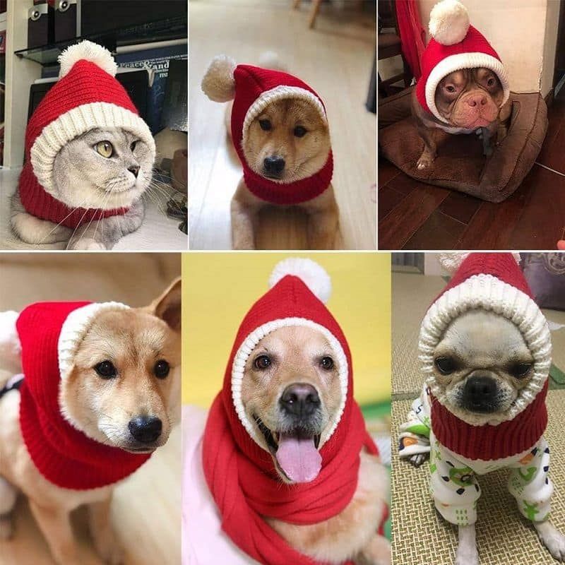 valentin-for-pets-gorro-tejido-navideno-rojo-entrega-en-4-dias-habiles
