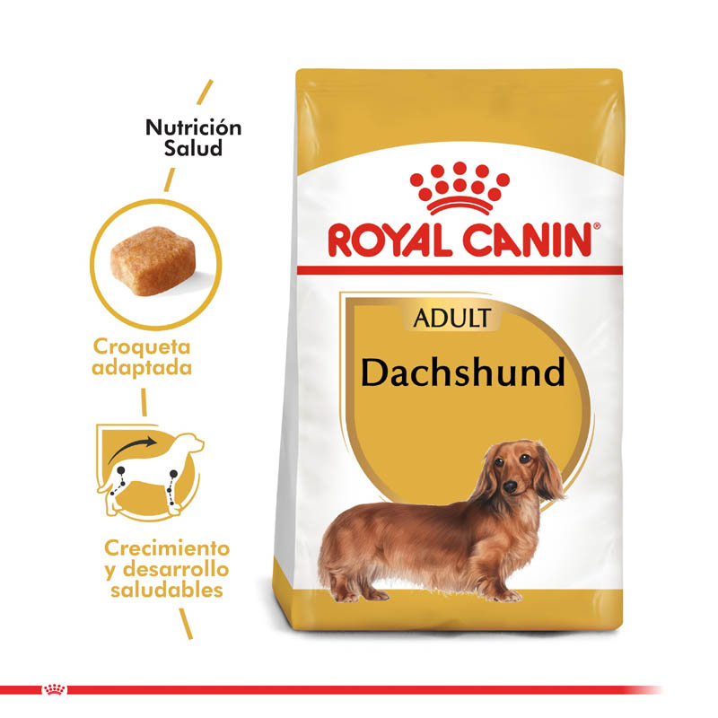 royal-canin-dachshund