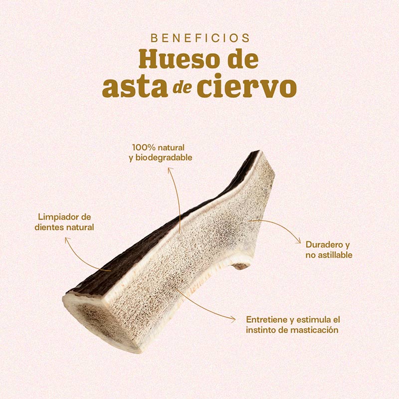 doggo-hueso-de-astas-de-ciervo-talla-p