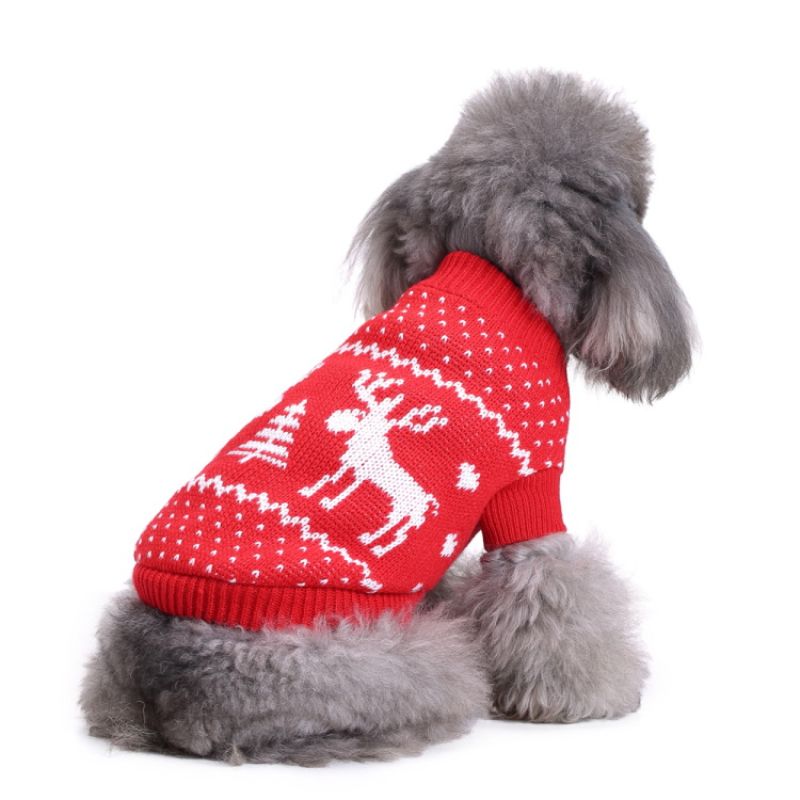 valentin-for-pets-sueter-rojo-navideno