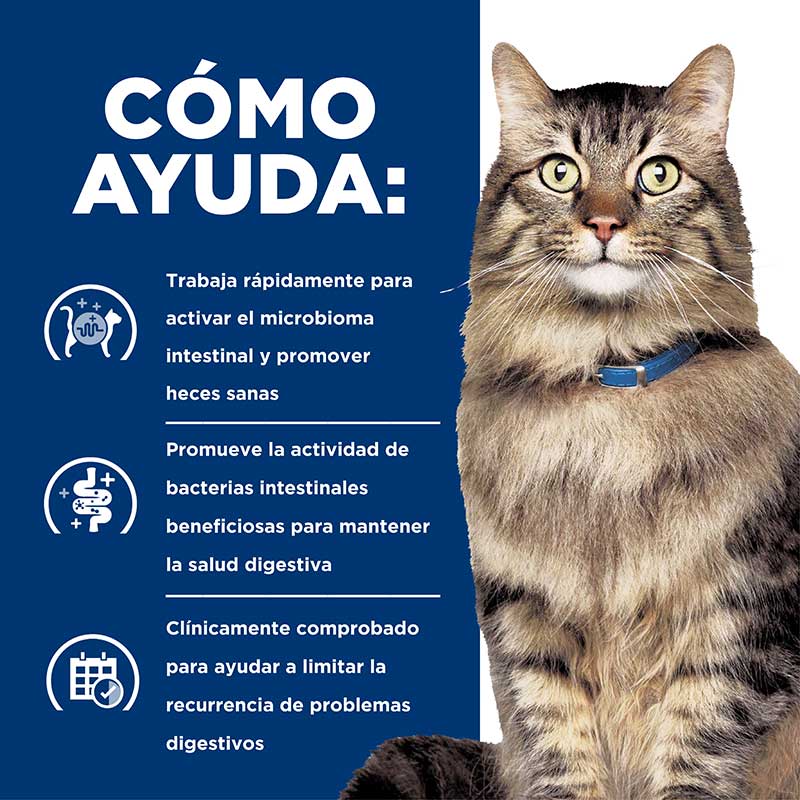 hills-prescription-diet-gastrointestinal-biome-cat