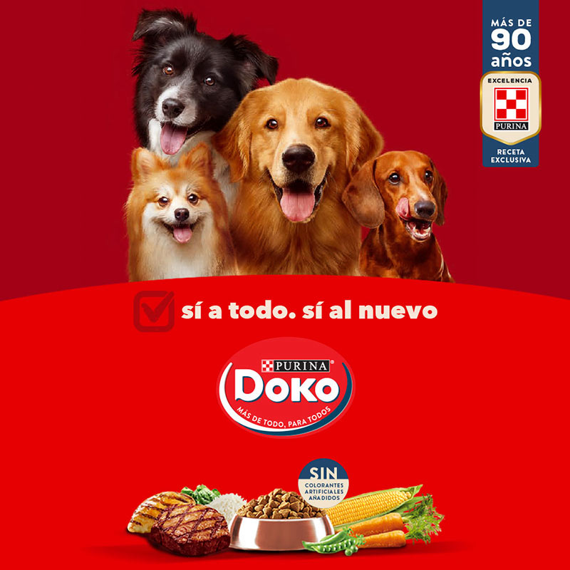 doko-cachorro