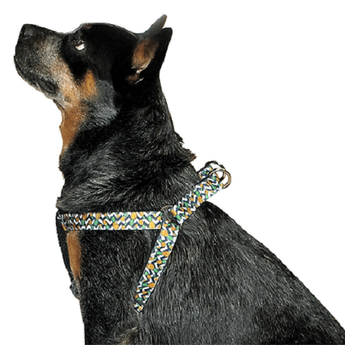 Animal Shop - Arnés Piñas