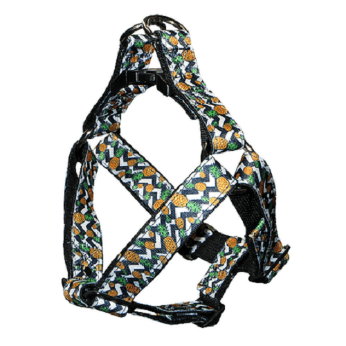 animal-shop-arnes-pinas