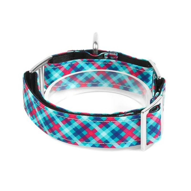 bellcher-collar-martingale-tartan-menta-5-cm