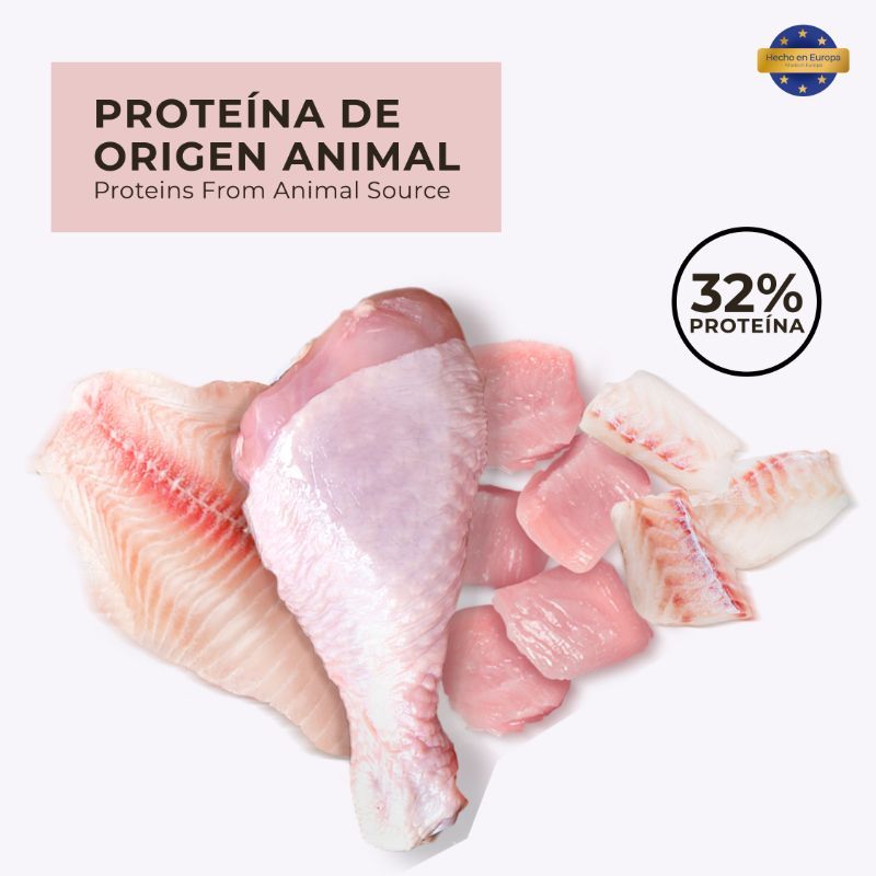 true-nature-alimento-para-gatitos-sabor-pollo