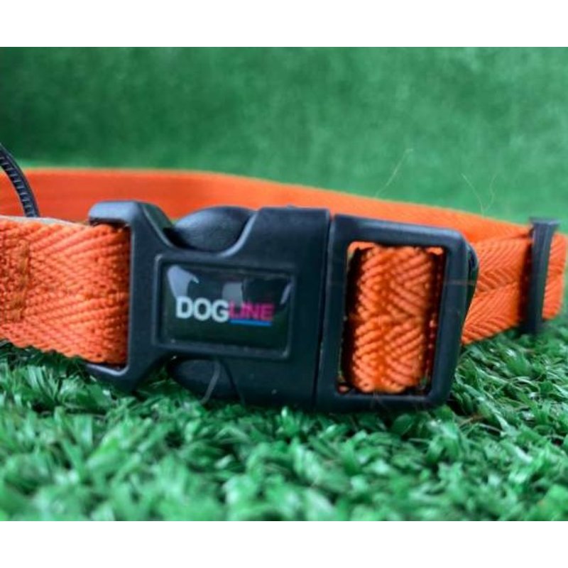 dogline-collar-de-nylon-naranja