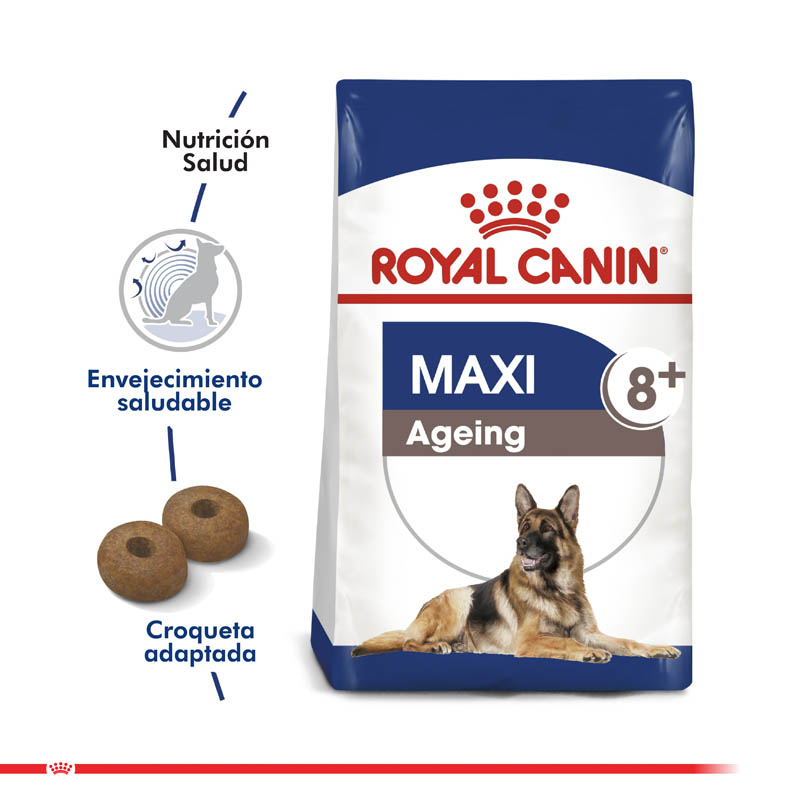 royal-canin-maxi-adulto-8-ageing