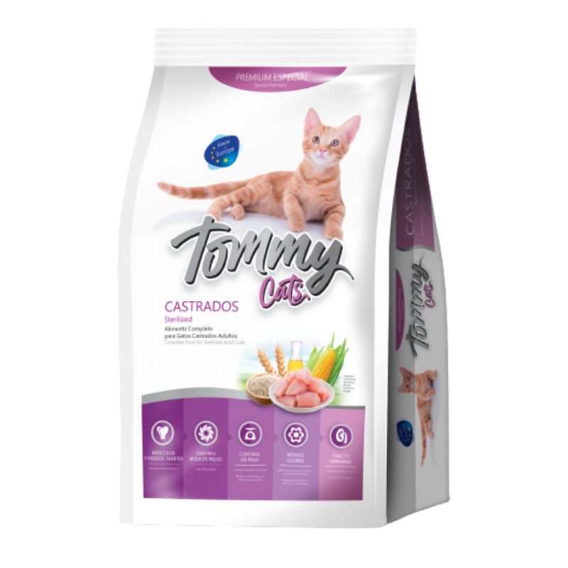 tommy-cats-gatos-castrados