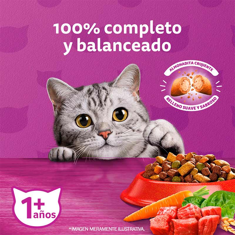whiskas-alimento-seco-para-gato-adulto-sabor-carne
