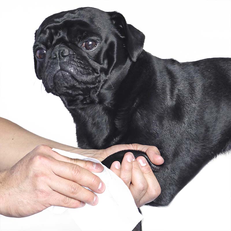lets-be-fresh-toallitas-humedas-para-mascotas