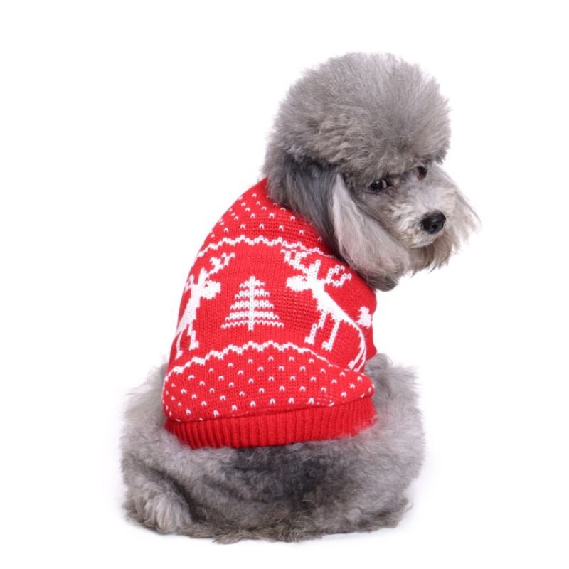 valentin-for-pets-sueter-rojo-navideno