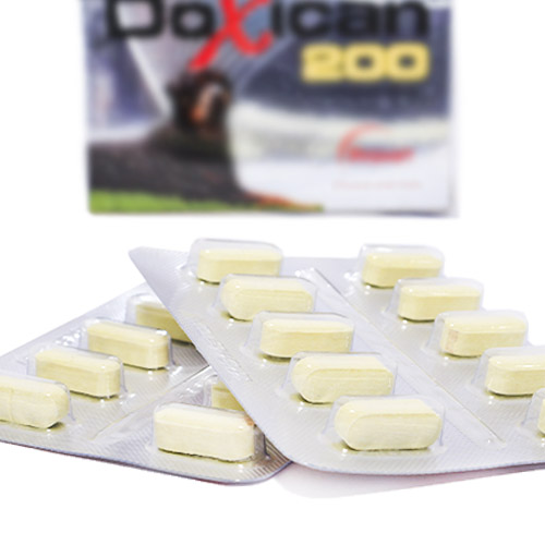 doxican-200