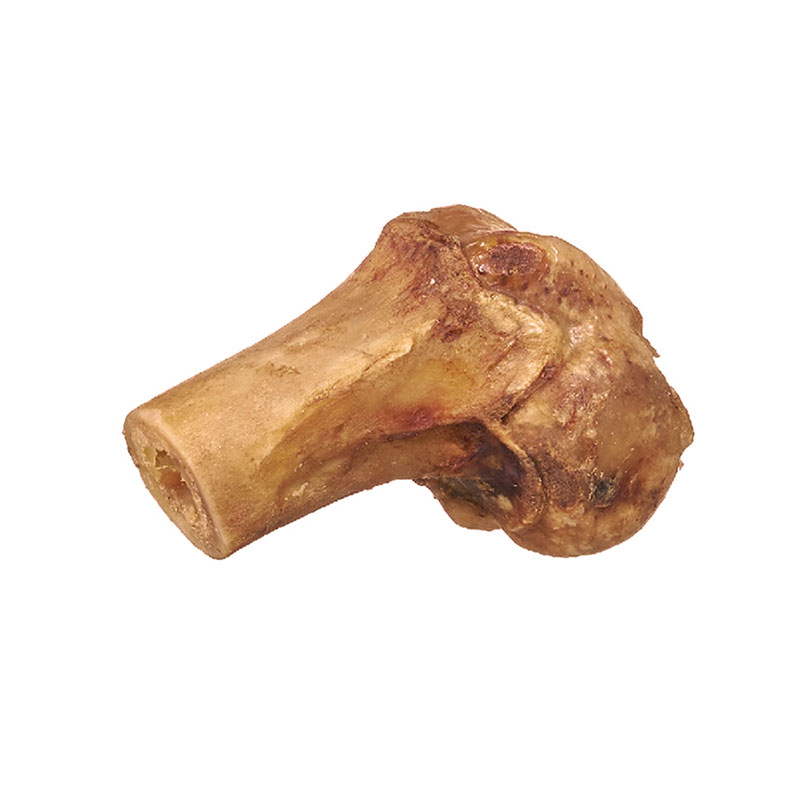 natural-toys-mini-femur