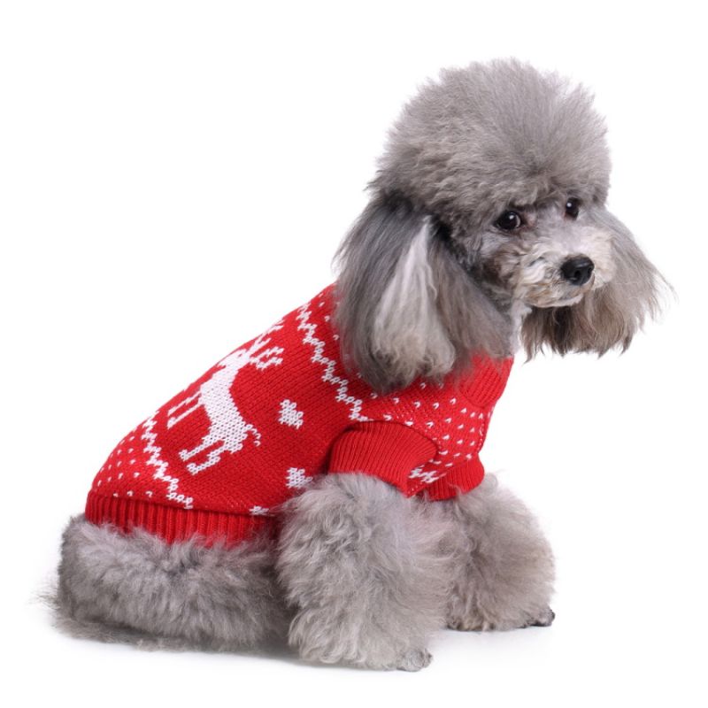 valentin-for-pets-sueter-rojo-navideno