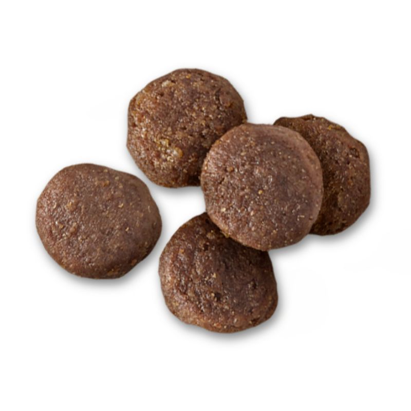 hills-prescription-diet-alimento-seco-para-perro-onc-care-nutricion-y-apoyo-de-recuperacion