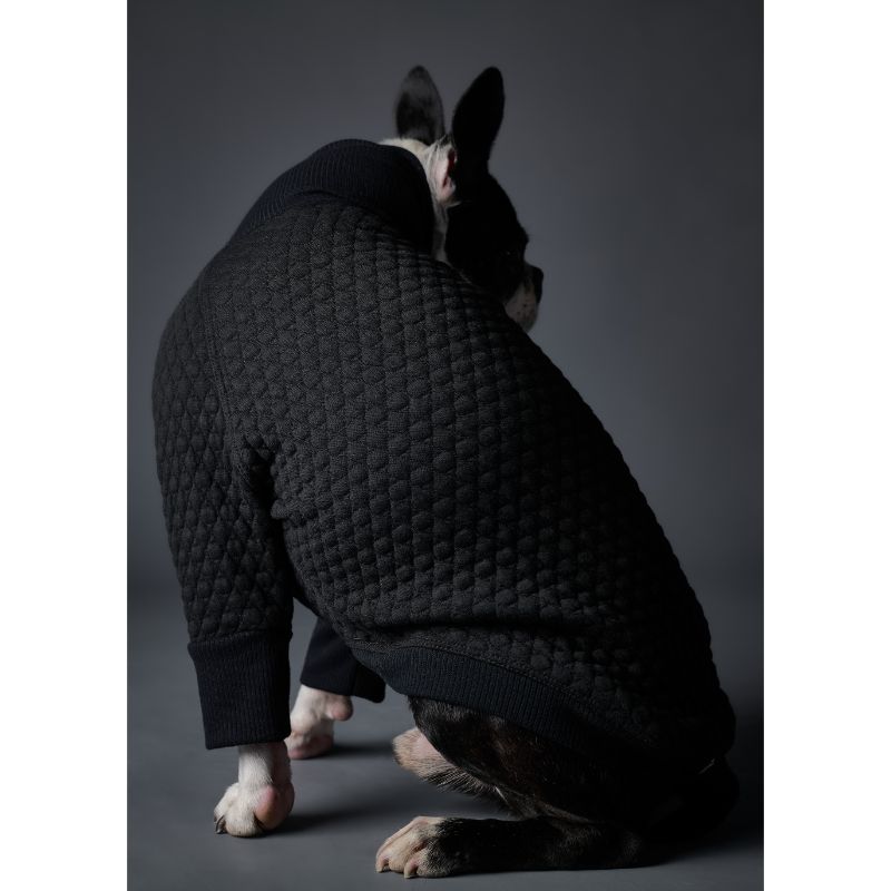 the-striped-dog-sueter-negro-cuello-tortuga