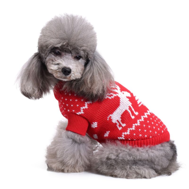 valentin-for-pets-sueter-rojo-navideno