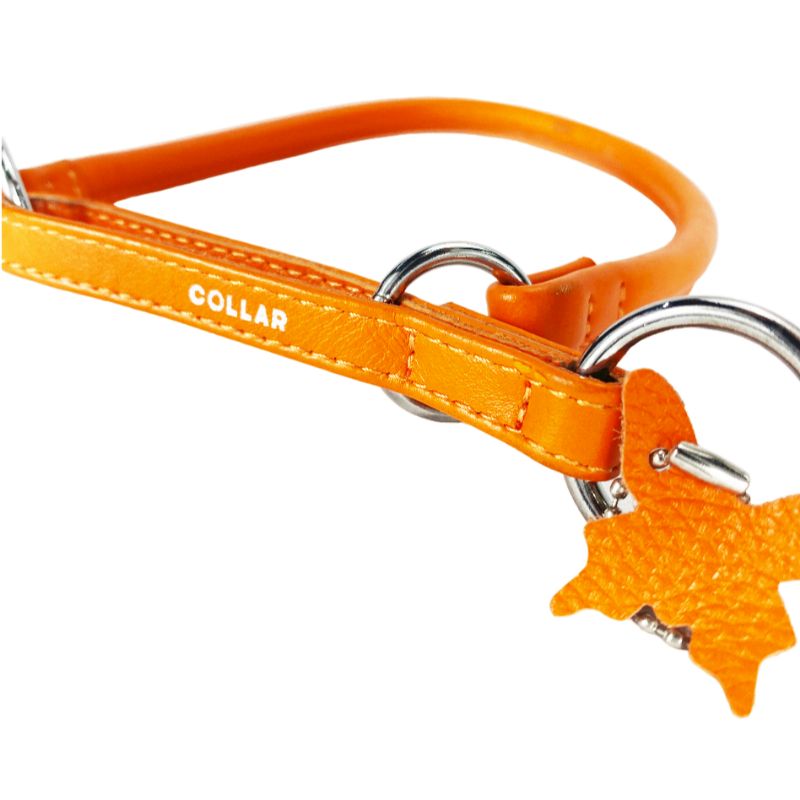 collar-glamour-martingale-choke-naranja