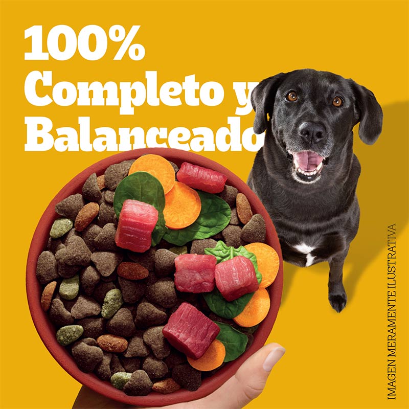 pedigree-alimento-seco-para-perro-adulto-mayor-7-anos