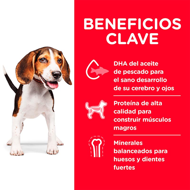 hills-science-diet-puppy-chicken-meal-barley-recipe-dog