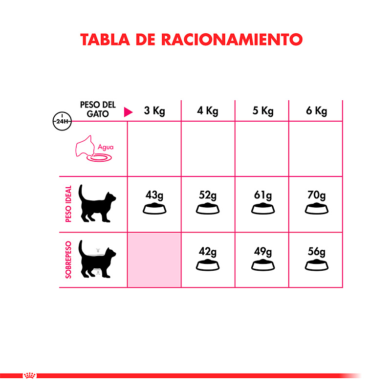 royal-canin-alimento-gato-adulto-exigent