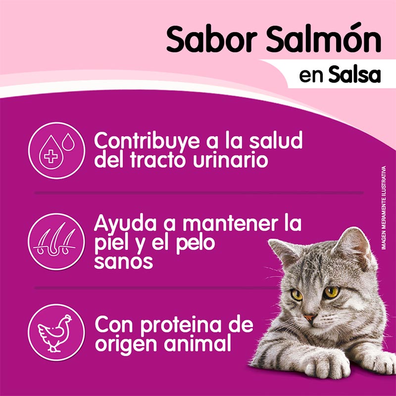 whiskas-alimento-humedo-sobrecito-gato-salmon-salsa
