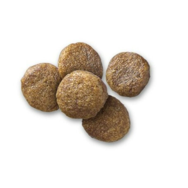 hills-prescription-diet-alimento-seco-para-perro-adulto-raza-pequena-zd-small-bites-sensibilidades-alimentarias
